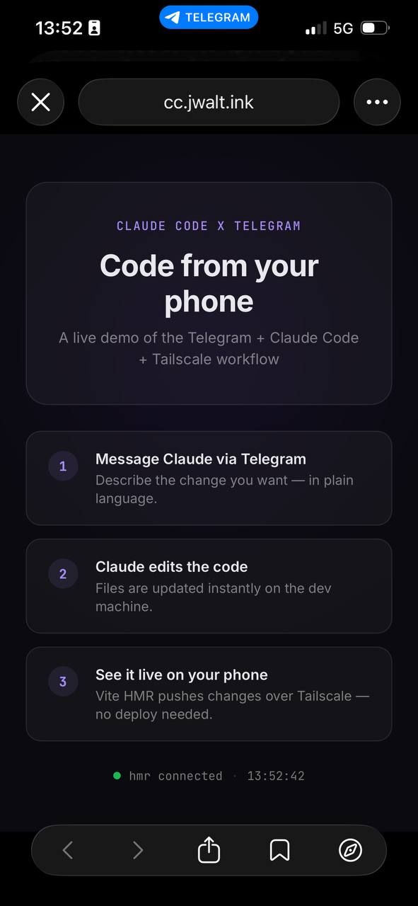 The website Claude built, viewed on mobile over Tailscale